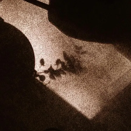 Restaurant Belvedere Schoonhoven