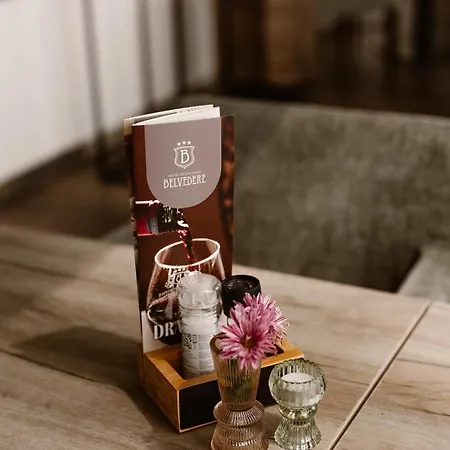 Restaurant Belvedere ホテル 3*