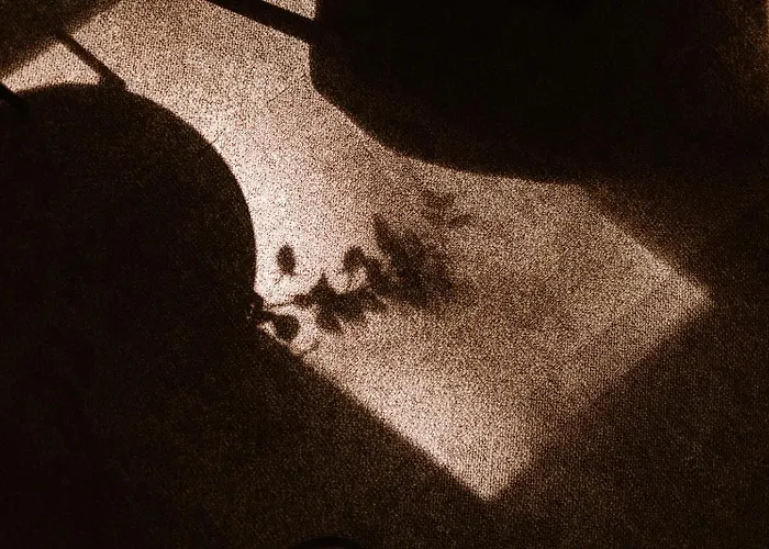 Restaurant Belvedere سخونهوفن