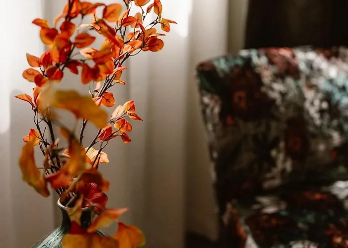 فندق Restaurant Belvedere سخونهوفن